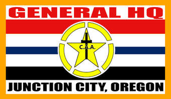Central Aid Agency Executive Headquarters Flag
