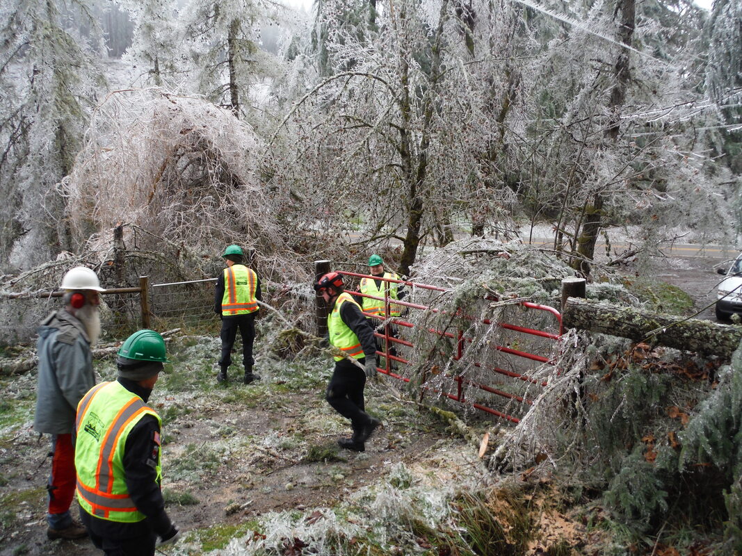Central Aid Agency Emergency Response and a member of Lane County Search and Rescue clear downed trees from a driveway during the 2016 Ice Storm Response.