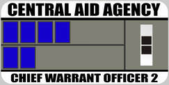 Chief Warrant Officer 2 Rank Badge