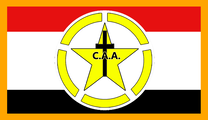 Central Aid Agency Colors Flag