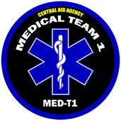 Medical Corps Team 1 Unit Emblem