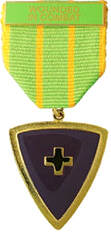 Wounded in Combat Citation Medal