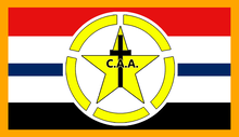 Central Aid Agency Colors Flag