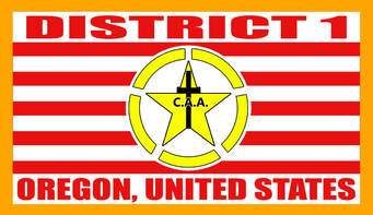 District 1 Flag