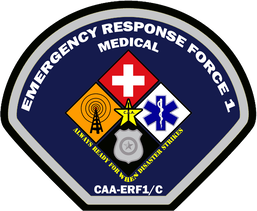 Emergency Response Force 1 Detachment C (Medical) Unit Emblem