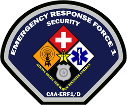 Emergency Response Force 1 Detachment D (Security) Unit Emblem