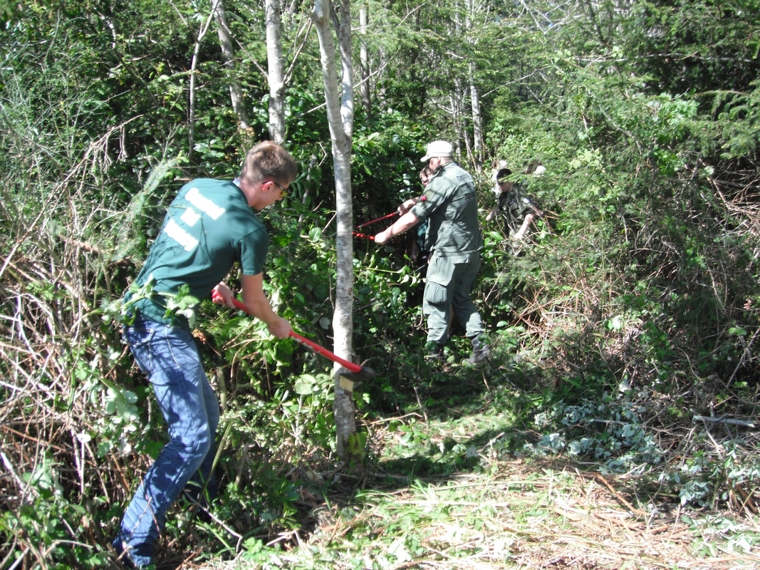 C.A.A. personnel clearing brush for a road to access a water source on the Oregon Coast.