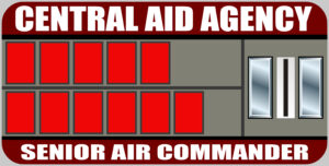 Senior Air Commander Rank Badge
