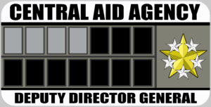 Deputy Director General Rank Badge