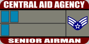 Senior Airman Rank Badge