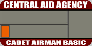 Cadet Airman Basic Rank Badge