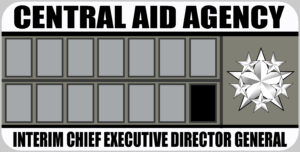 Interim Chief Executive Director General Rank Badge