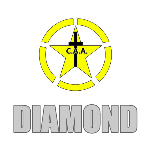 Diamond Donation Level Logo