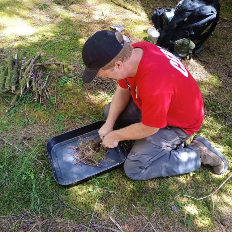 516946840_1226510536185010_5924389846347677351_n