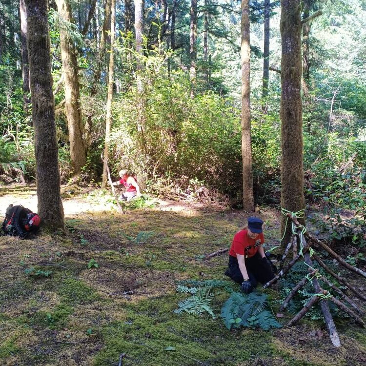 517778208_1226505999518797_7301951709436173142_n