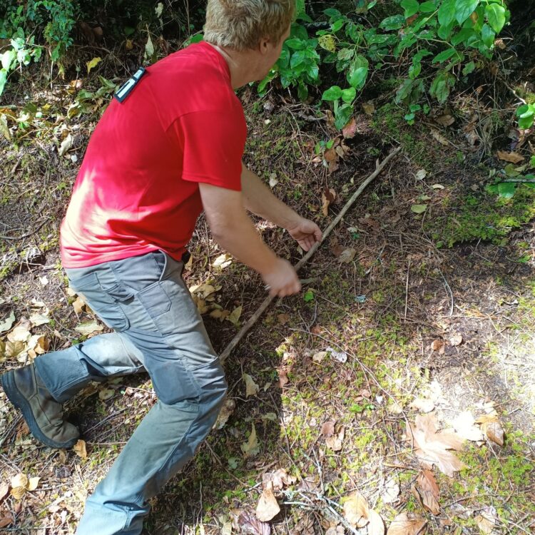 535053291_1256689809833749_2788210946706985482_n