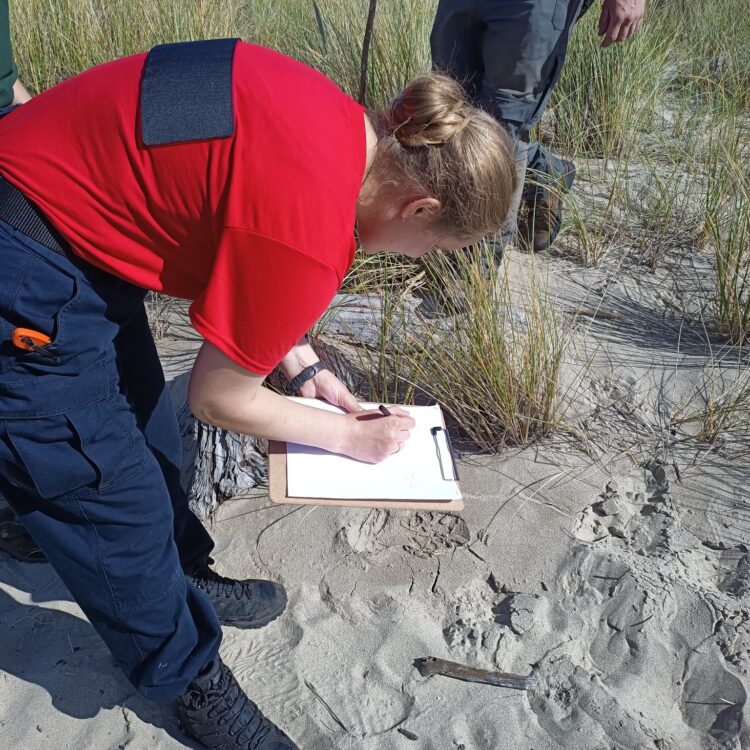 536268957_1256694539833276_6148404279187111932_n