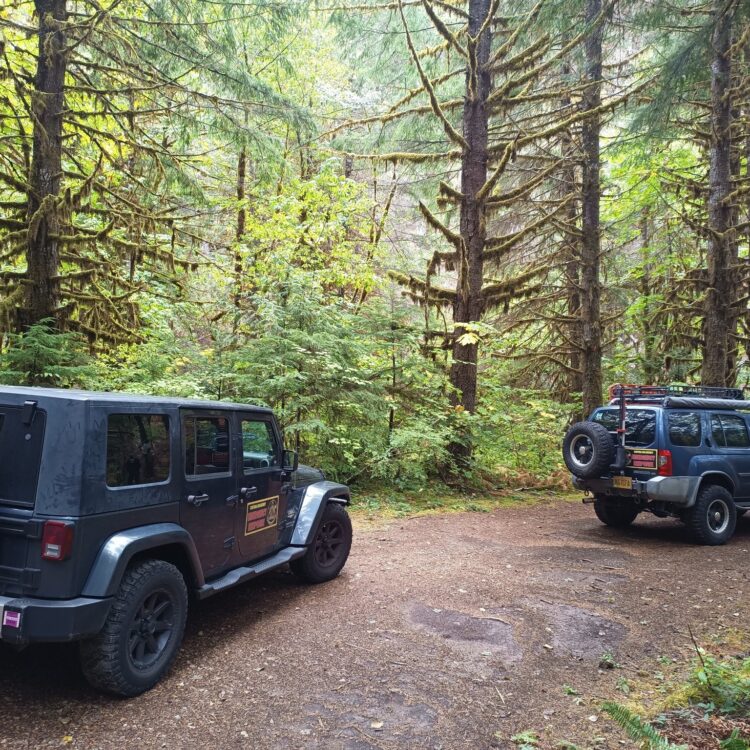 558908217_1305921414910588_8206142394276114298_n